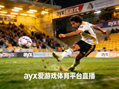 足球赛场直播画面 - ayx爱游戏体育平台提供英超、欧冠等顶级足球赛事直播