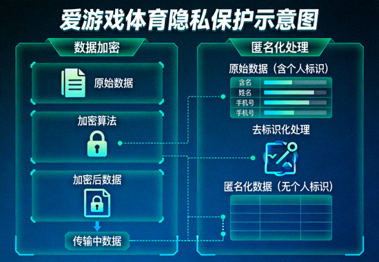 爱游戏体育隐私保护示意图 - 数据加密与匿名化处理