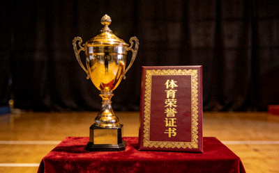金色奖杯与荣誉证书陈列在颁奖台上 - 体育荣誉奖项配图