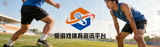 爱游戏体育资讯平台官方标志 - 橙蓝配色的体育品牌标识