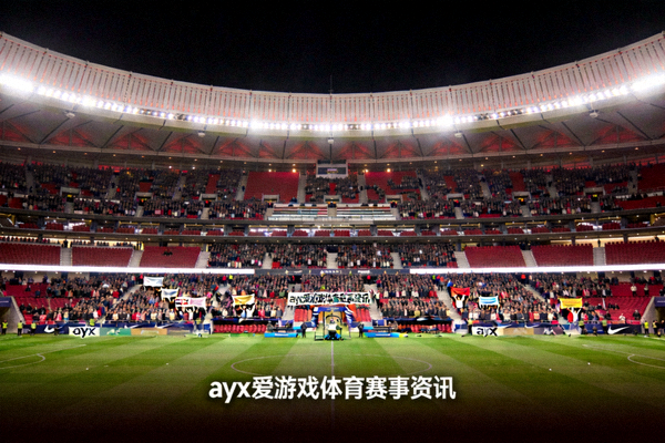 大型体育场馆内观众席全景 - ayx爱游戏体育赛事资讯配图